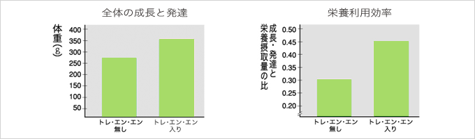 トレ・エン・エン